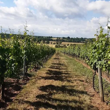 Ravissant Dans Un Cadre * Soultz-Haut-Rhin