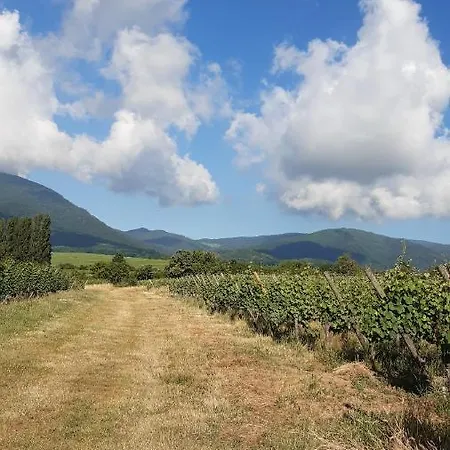 Ravissant Dans Un Cadre Appartamento Soultz-Haut-Rhin